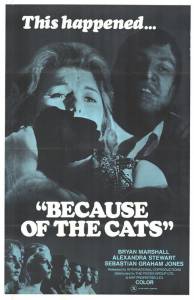 -  Because of the Cats