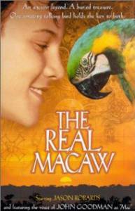 - The Real Macaw