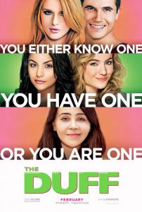  The DUFF